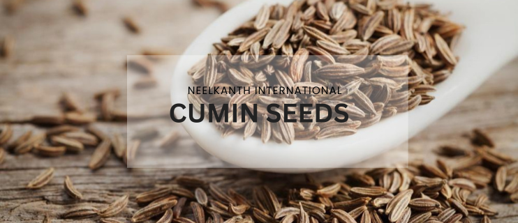 Premium Cumin Seeds Wholesale & Export from Gujarat