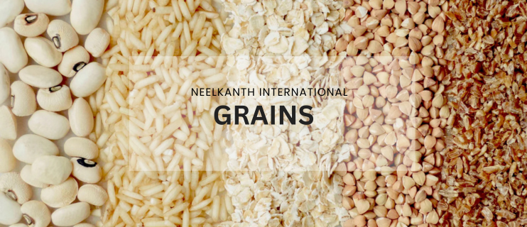 Premium Grain Wholesale & Export from Gujarat