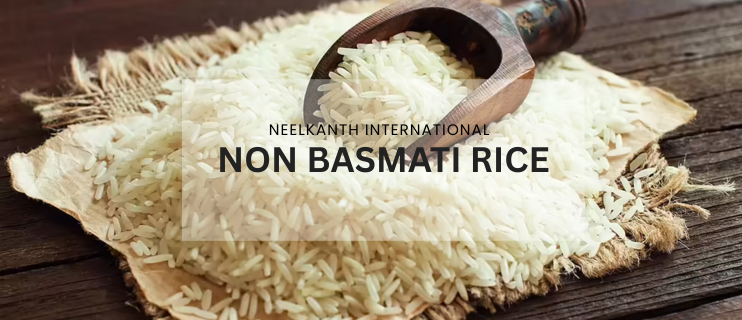 Premium Non Basmati Rice Wholesale & Export from Gujarat