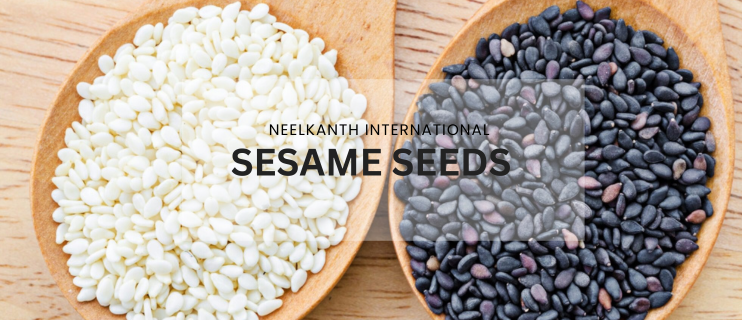 Premium Sesame Seeds Wholesale & Export from Gujarat